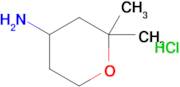 2,2-DIMETHYLTETRAHYDRO-2H-PYRAN-4-AMINE HCL