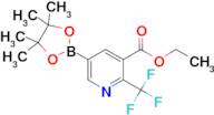 (5-(ETHOXYCARBONYL)-6-(TRIFLUOROMETHYL)PYRIDIN-3-YL)BORONIC ACID PINACOL ESTER