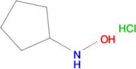 N-CYCLOPENTYLHYDROXYLAMINE HCL