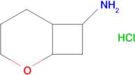 2-OXABICYCLO[4.2.0]OCTAN-7-AMINE HCL