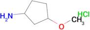 3-METHOXYCYCLOPENTANAMINE HCL