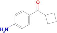 (4-AMINOPHENYL)(CYCLOBUTYL)METHANONE