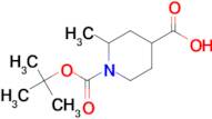 1-(TERT-BUTOXYCARBONYL)-2-METHYLPIPERIDINE-4-CARBOXYLIC ACID