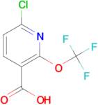6-CHLORO-2-(TRIFLUOROMETHOXY)NICOTINIC ACID