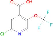 2-CHLORO-5-(TRIFLUOROMETHOXY)ISONICOTINIC ACID