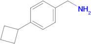 (4-CYCLOBUTYLPHENYL)METHANAMINE