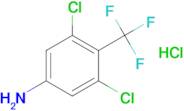 3,5-Dichloro-4-(trifluoromethyl)aniline hydrochloride