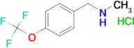 N-METHYL-1-(4-(TRIFLUOROMETHOXY)PHENYL)METHANAMINE HCL