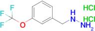 3-TRIFLUOROMETHOXYBENZYLHYDRAZINE 2HCL