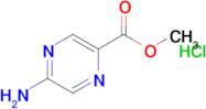 5-AMINOPYRAZINE-2-CARBOXYLIC ACID METHYL ESTER HCL