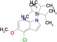 1H-PYRROLO[2,3-B]PYRIDINE, 4-CHLORO-5-METHOXY-1-[TRIS(1-METHYLETHYL)SILYL]-