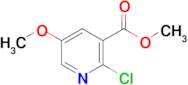 METHYL 2-CHLORO-5-METHOXYNICOTINATE