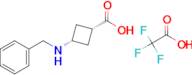 CIS-3-BENZYLAMINOCYCLOBUTANECARBOXYLIC ACID TFA