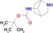 TERT-BUTYL N-(2-AZABICYCLO[2.2.1]HEPTAN-7-YL)CARBAMATE