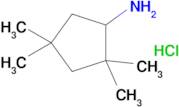 2,2,4,4-TETRAMETHYLCYCLOPENTANAMINE HCL