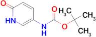 (6-OXO-1,6-DIHYDRO-PYRIDIN-3-YL)-CARBAMIC ACID TERT-BUTYL ESTER