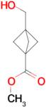 METHYL 3-(HYDROXYMETHYL)BICYCLO[1.1.1]PENTANE-1-CARBOXYLATE