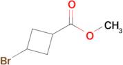 METHYL 3-BROMOCYCLOBUTANE-1-CARBOXYLATE