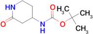 (2-OXO-PIPERIDIN-4-YL)-CARBAMIC ACID TERT-BUTYL ESTER