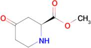 (S)-4-OXO-PIPERIDINE-2-CARBOXYLIC ACID METHYL ESTER