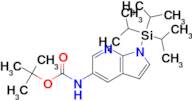 1-TRIISOPROPYLSILANYL-5-(BOC-AMINO)-7-AZAINDOLE