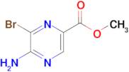 METHYL 5-AMINO-6-BROMOPYRAZINE-2-CARBOXYLATE