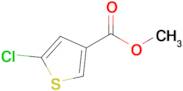 METHYL 5-CHLOROTHIOPHENE-3-CARBOXYLATE