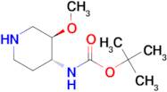 TRANS-4-(BOC-AMINO)-3-METHOXYPIPERIDINE