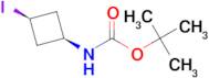 CIS-TERT-BUTYL 3-IODOCYCLOBUTYLCARBAMATE