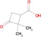 2,2-DIMETHYL-3-OXOCYCLOBUTANECARBOXYLIC ACID