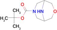 7-BOC-3-OXA-7,9-DIAZABICYCLO[3.3.1]NONANE