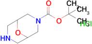 3-BOC-9-OXA-3,7-DIAZABICYCLO[3.3.1]NONANE HCL