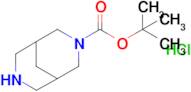 TERT-BUTYL 3,7-DIAZABICYCLO[3.3.1]NONANE-3-CARBOXYLATE HCL