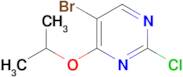 5-BROMO-2-CHLORO-4-(PROPAN-2-YLOXY)PYRIMIDINE