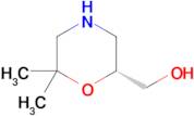 (R)-(6,6-DIMETHYLMORPHOLIN-2-YL)METHANOL