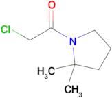 2-CHLORO-1-(2,2-DIMETHYLPYRROLIDIN-1-YL)ETHANONE