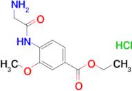 ETHYL 4-(2-AMINOACETAMIDO)-3-METHOXYBENZOATE HCL