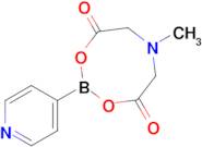 PYRIDINE-4-BORONIC ACID MIDA ESTER