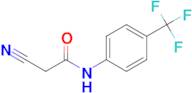 2-CYANO-N-[4-(TRIFLUOROMETHYL)PHENYL]ACETAMIDE