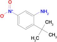 2-TERT-BUTYL-5-NITROANILINE