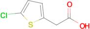 (5-CHLORO-2-THIENYL)ACETIC ACID