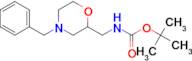 TERT-BUTYL (4-BENZYLMORPHOLIN-2-YL)METHYLCARBAMATE