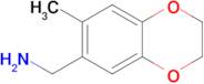 (7-METHYL-2,3-DIHYDRO-1,4-BENZODIOXIN-6-YL)METHYLAMINE