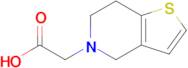 2-(4H,5H,6H,7H-THIENO[3,2-C]PYRIDIN-5-YL)ACETIC ACID