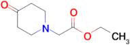 ETHYL 2-(4-OXOPIPERIDIN-1-YL)ACETATE