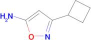 3-CYCLOBUTYL-1,2-OXAZOL-5-AMINE