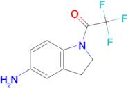 1-(5-AMINOINDOLIN-1-YL)-2,2,2-TRIFLUOROETHANONE