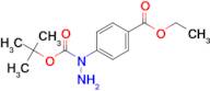 4-(N-TERT-BUTOXYCARBONYLHYDRAZINO)BENZOIC ACID ETHYL ESTER