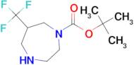 6-TRIFLUOROMETHYL-[1,4]DIAZEPANE-1-CARBOXYLIC ACID TERT-BUTYL ESTER