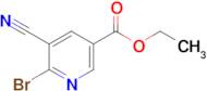 6-BROMO-5-CYANO-NICOTINIC ACID ETHYL ESTER